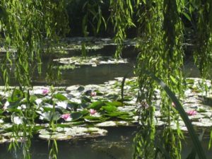 Lire la suite à propos de l’article La vie dans tes yeux – Poesie