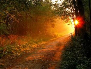 Lire la suite à propos de l’article Un moment de rêve – Poesie