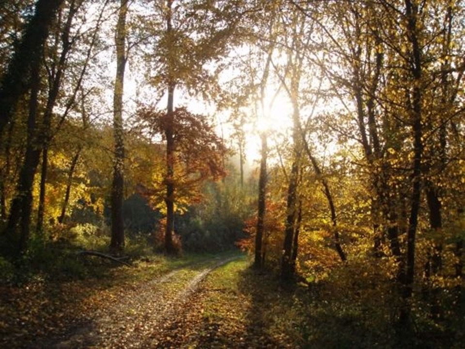 Lire la suite à propos de l’article Les poètes – Poésie