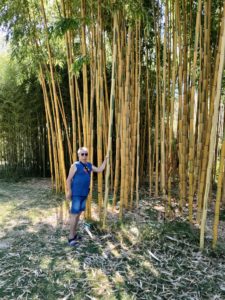 Votre serviteur pour la visite du domaine des Bambous en Provence